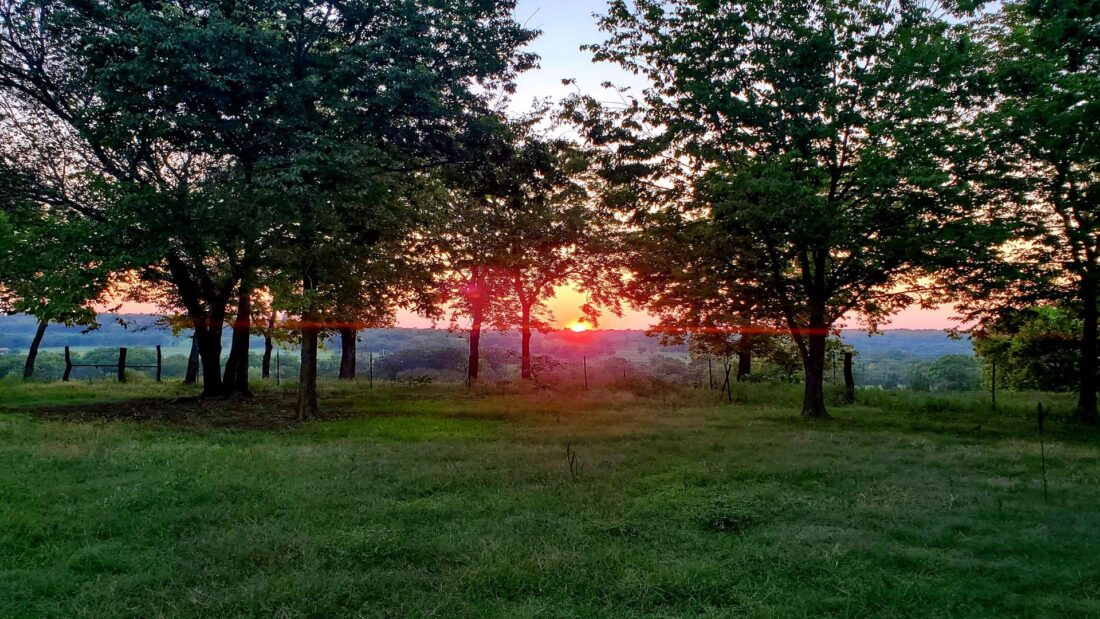 Small-Scale Domestic Elk Ranching – Mother Earth News